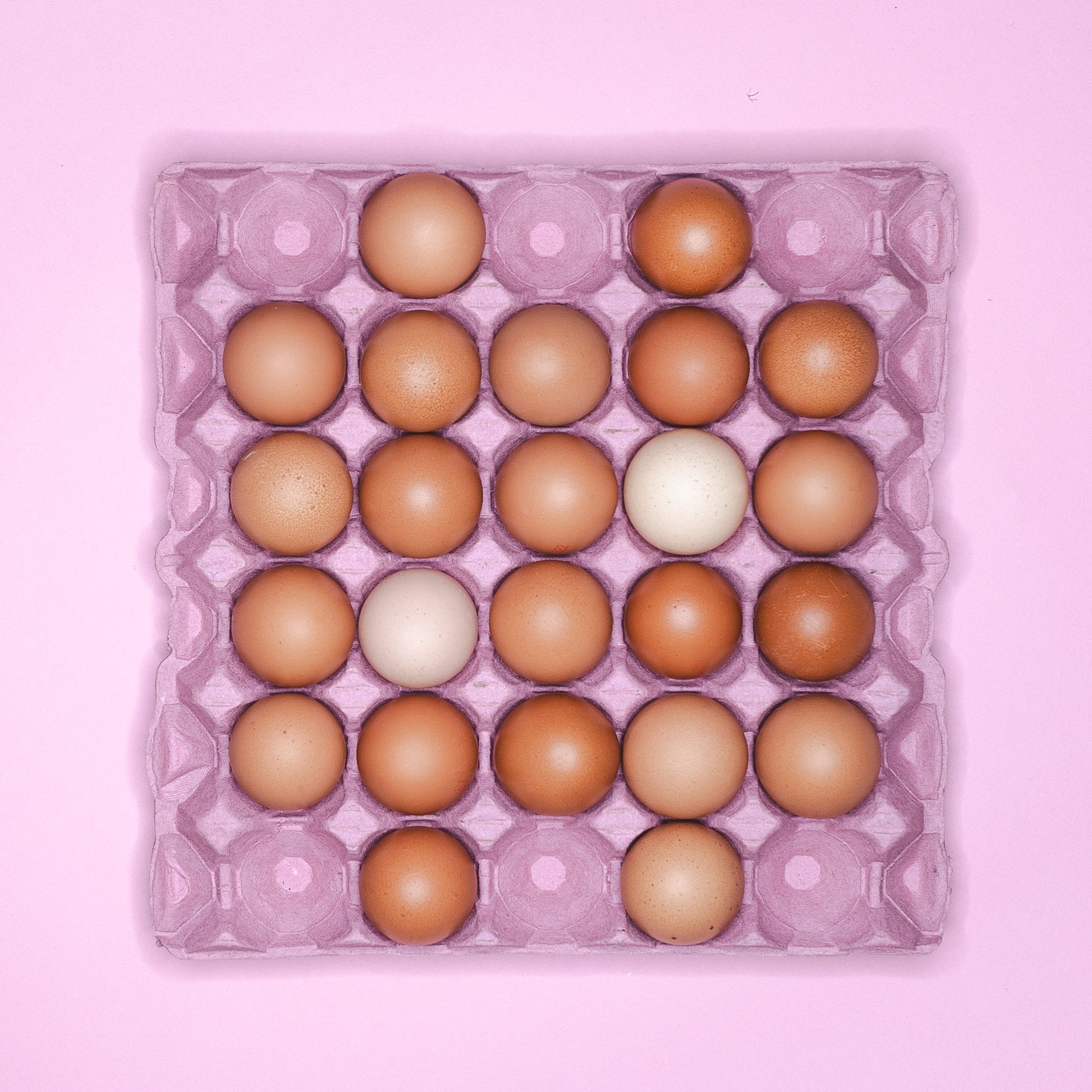 A pink cardboard tray holding 24 eggs